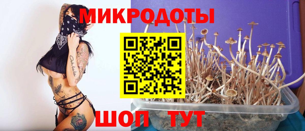 Галлюциногенные грибы мухоморы Людиново