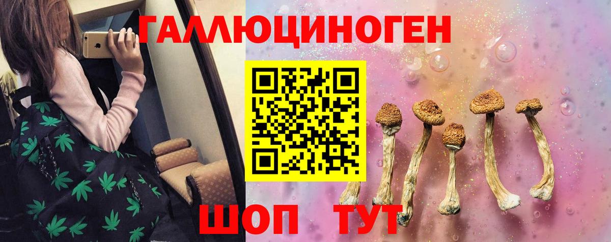 наркота  Вход с VPN  Людиново  Галлюциногенные грибы Psilocybe  Псилоцибиновые грибы Magic Shrooms 